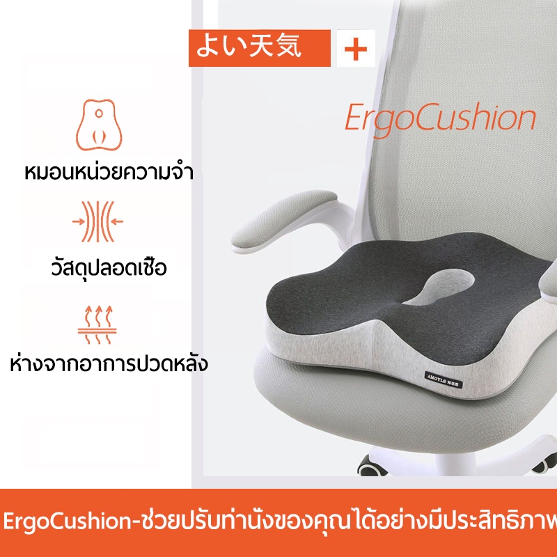 ErgoSeat เบาะรองนั่งเพื่อสุขภาพ ลดแรงกดทับก้นกบ บรรเทาปวดหลัง รองรับสรีระได้ดี อาการออฟฟิศซินโดรม