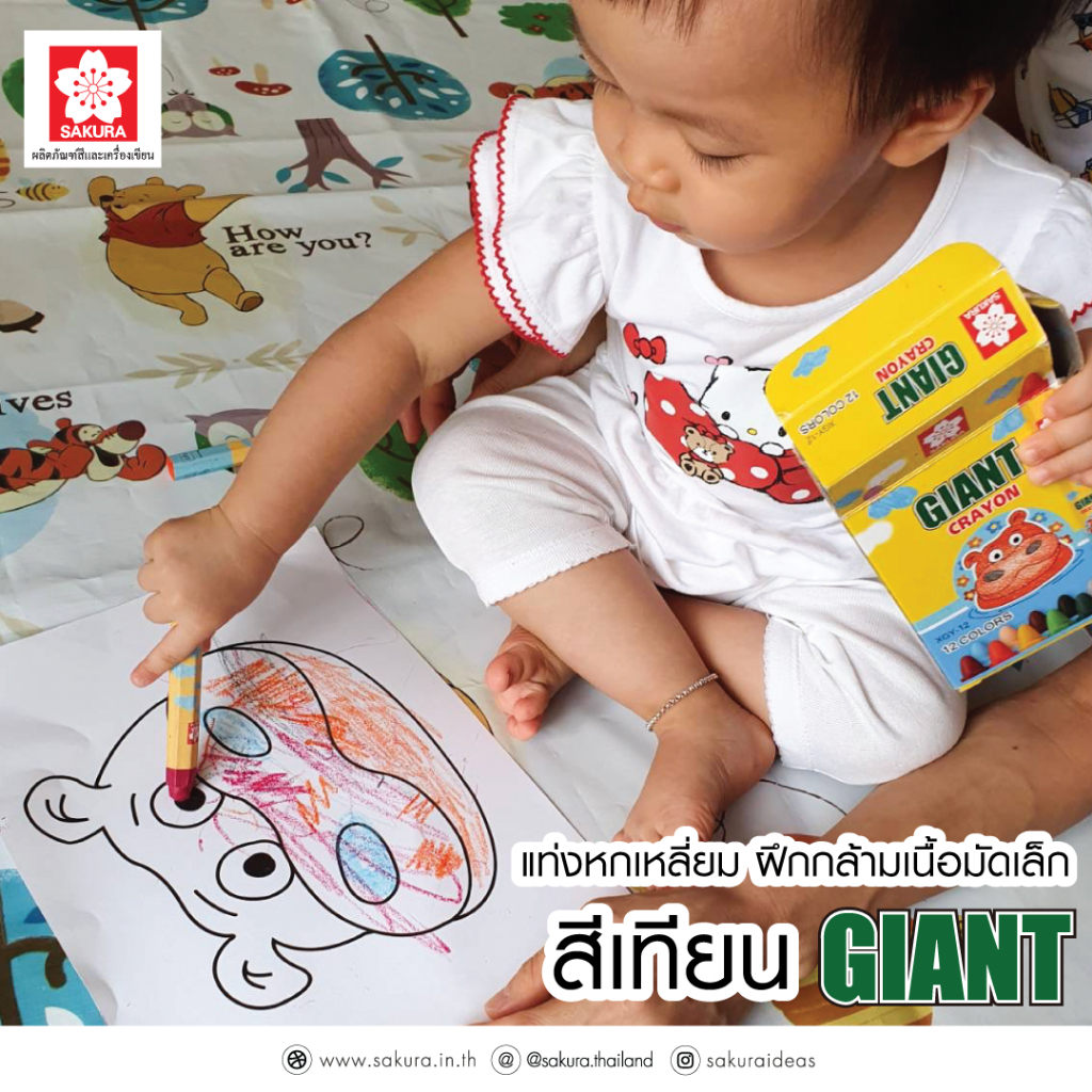 สีเทียนซากุระ แท่งใหญ่ 8 สี / 12 สี สำหรับเด็ก 3-6 ปี ปลอดสารพิษ (ด้ามสามเหลี่ยม) ลายฮิปโปหมูเด้ง แถมสมุดวาดเขียน 1 เล่ม