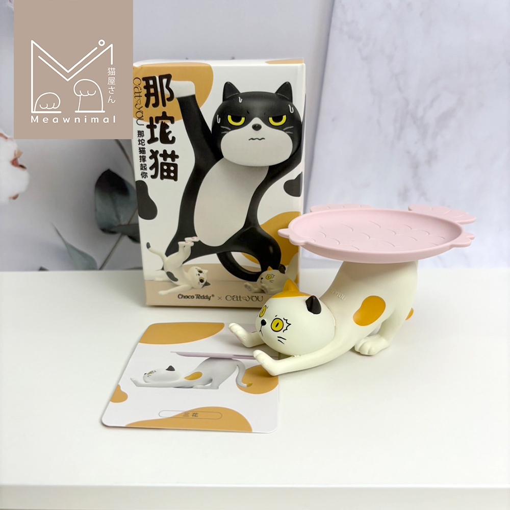 สินค้าตัวโชว์ของทางร้าน (มีการ์ดกล่องครบ ยกเว้นBabymolly)