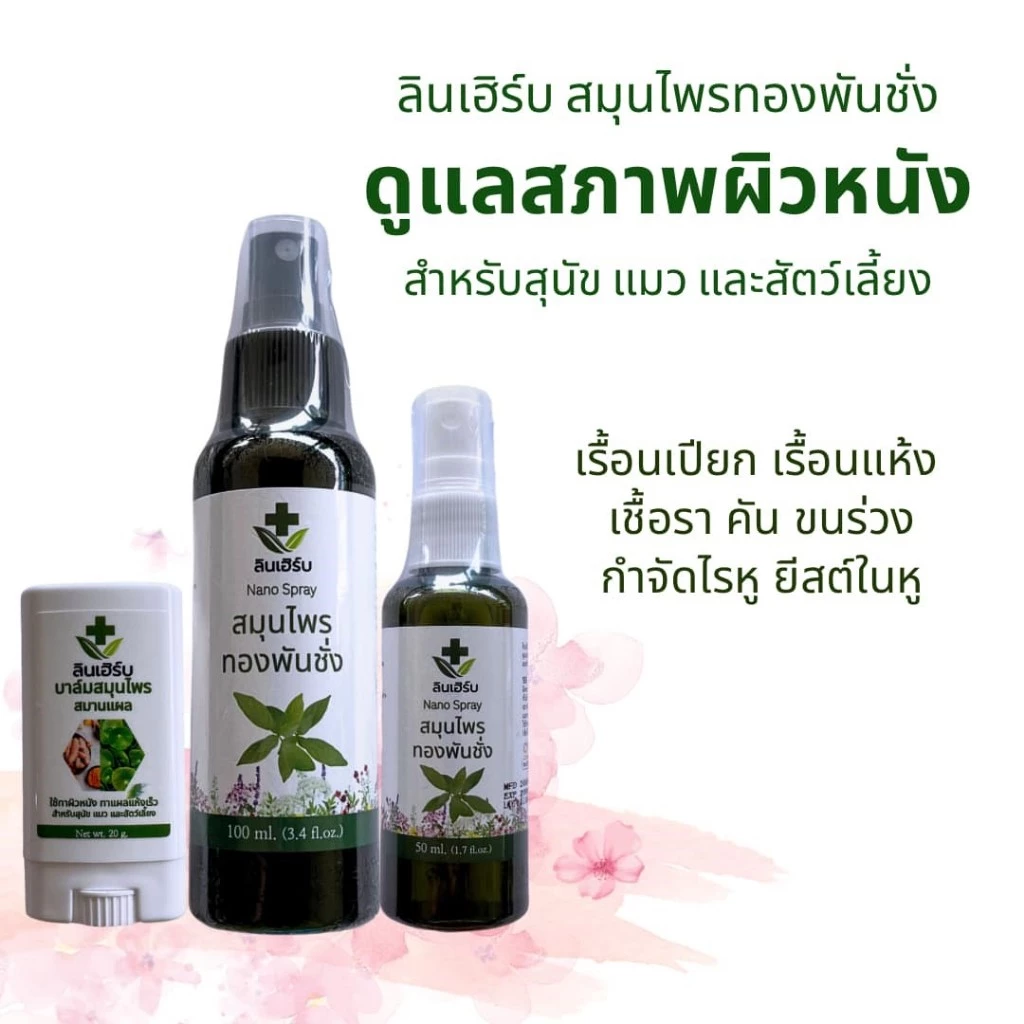 ลินเฮิร์บ สมุนไพรทองพันชั่ง #สเปรย์รักษาโรคเรื้อน เชื้อรา ผิวหนังอักเสบ