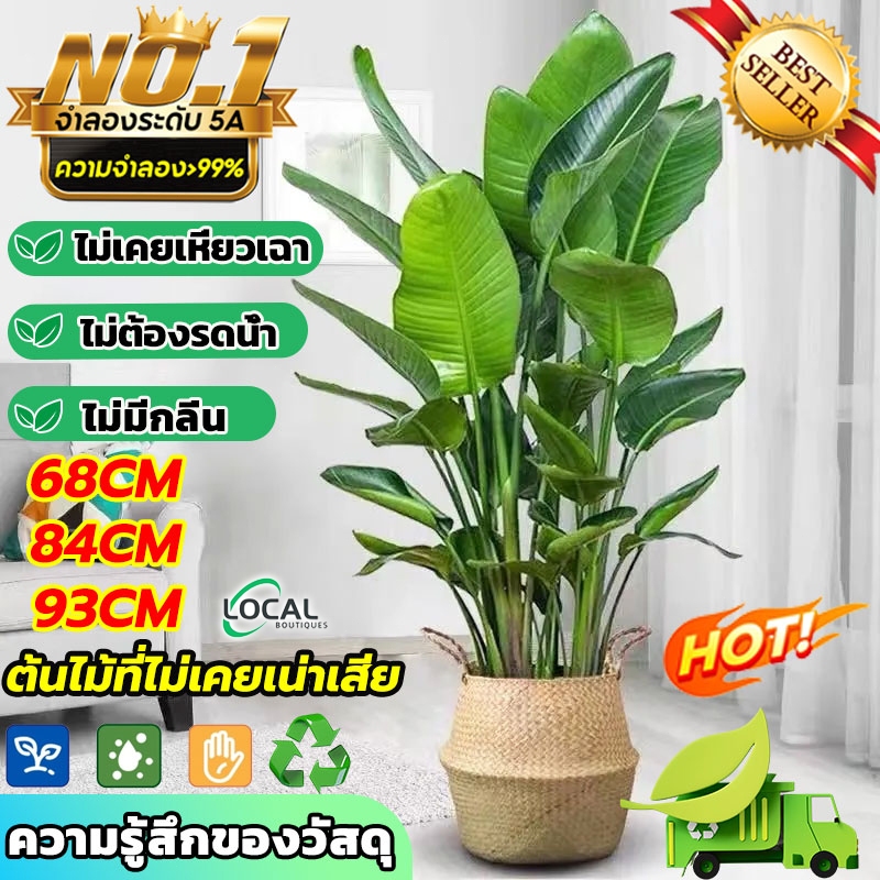 🔥ความจำลอง 99% ต้นไม้ปลอม ต้นไม้ประดิษฐ์ สูง68-93ซม สไตล์นอร์ดิก ในบ้าน สำหรับตกแต่งบ้านและสวน ต้นไม้มงคล ร้อยปีไม่เสีย
