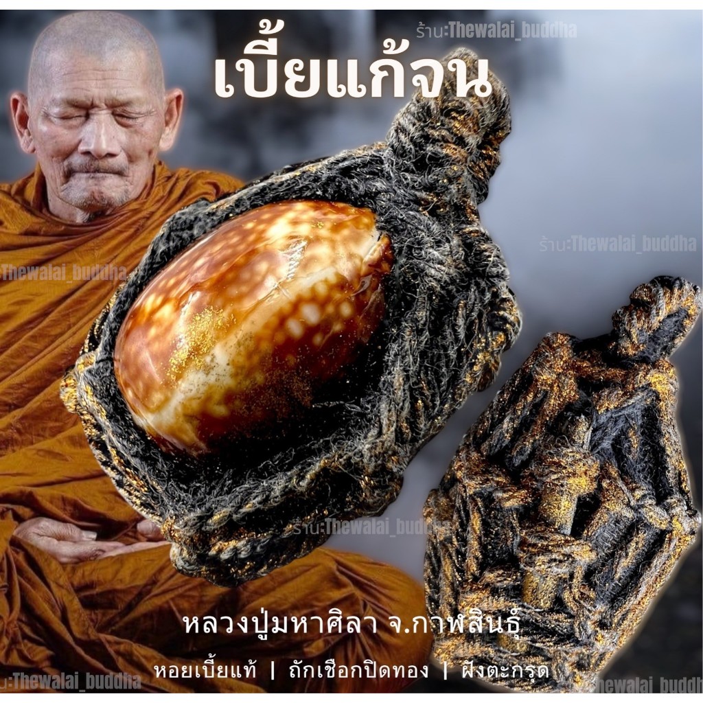 เบี้ยแก้จน เบี้ยแก้ของแท้ถักเชือกฝังตะกรุด หอยเบี้ยแก้ของแท้ หลวงปู่ศิลาสิริจันโท จ.กาฬสินธุ์