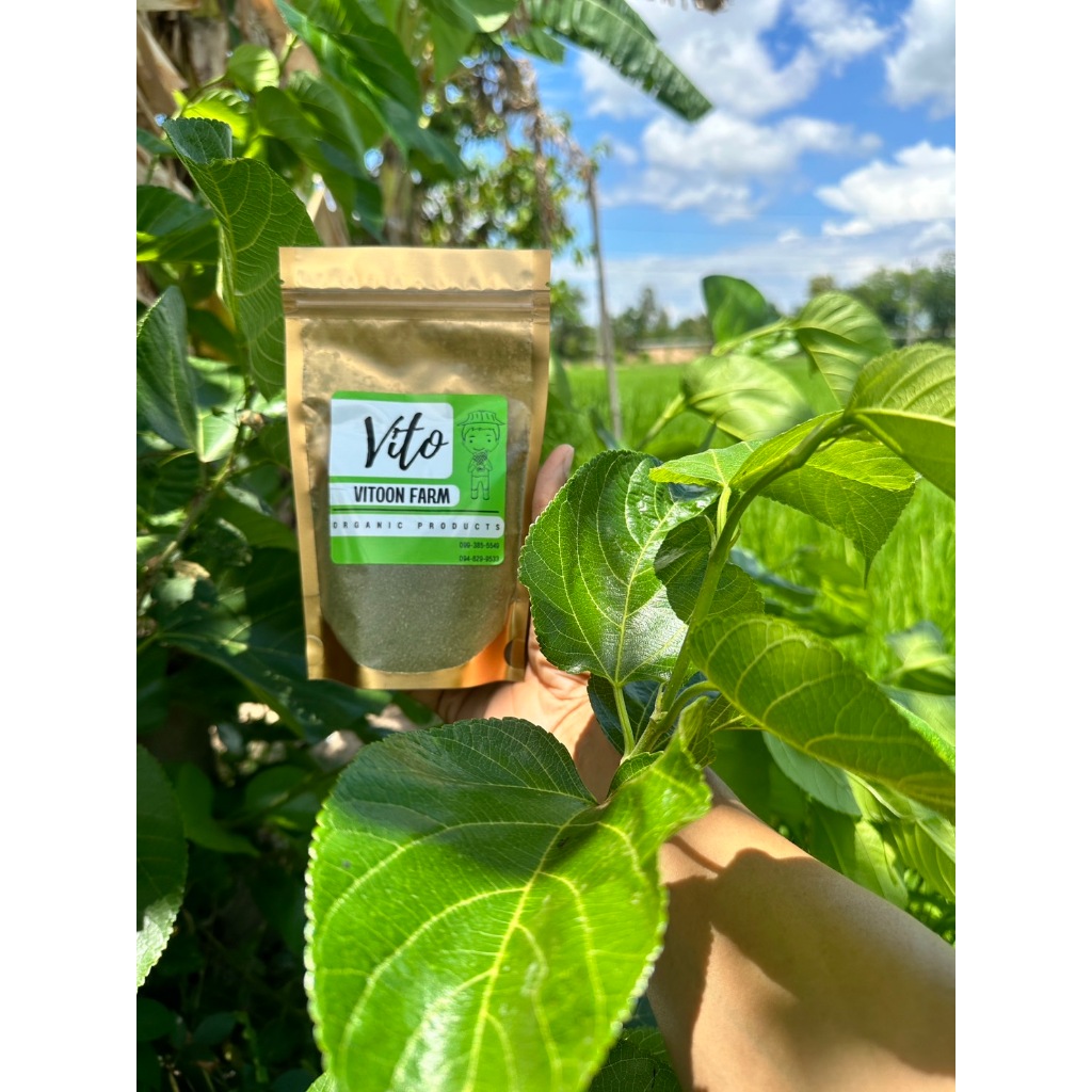 ใบหม่อน อบแห้ง 100% ออร์แกนิก ใบหม่อน อบแห้ง บดหยาบ [Organic Dried Mulberry Leaf]