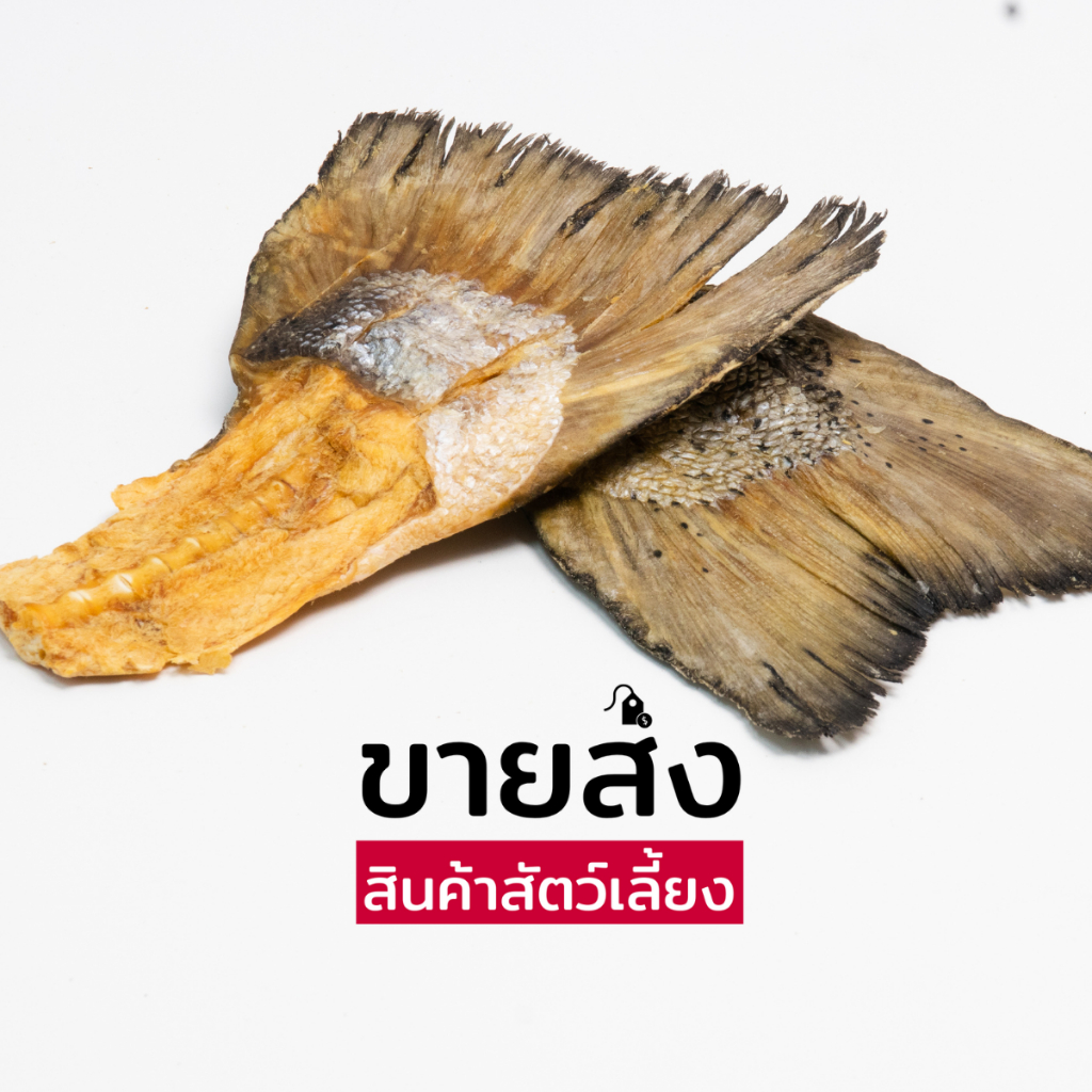 ขายส่งสินค้าสัตว์เลี้ยง หางปลาแซลม่อนอบกรอบ