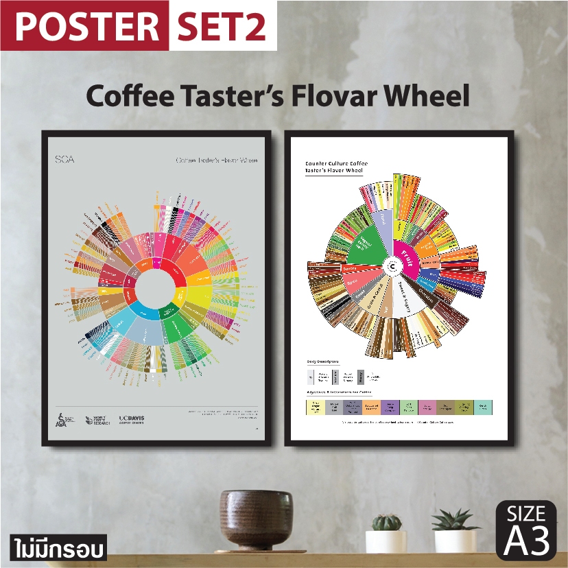 [Set 2 แผ่น] โปสเตอร์กาแฟ Coffee Taster's Flavor Wheel Poster ตกแต่งร้านกาแฟ แต่งร้านกาแฟ