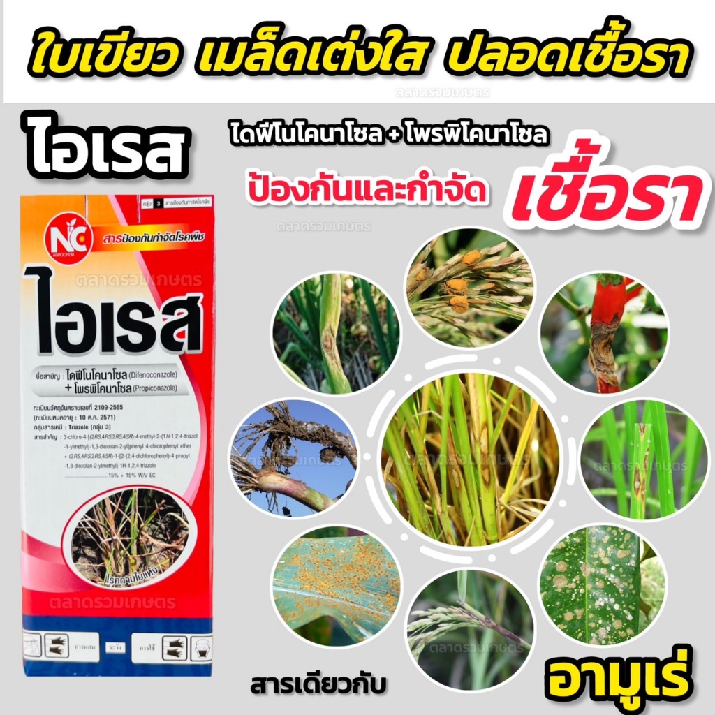 ไดฟีโนโคนาโซล + โพรพิโคนาโซล ไอเรส 1 ลิตร #อามูเร่ ยาเชื้อราพืช ยาฆ่าเชื้อรา สารกำจัดโรคพืช เมล็ดด่าง เน่าคอร่วง ใบไหม้