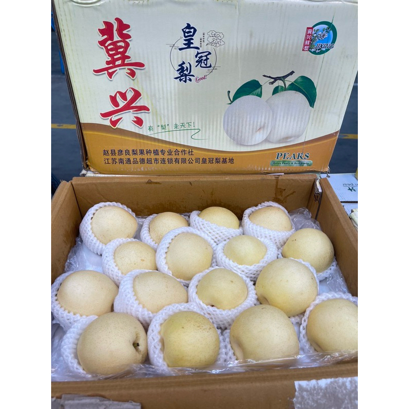 สาลี่ทอง ญี่ปุ่น Goldgen Pear # 42,48 ลูก/ลัง