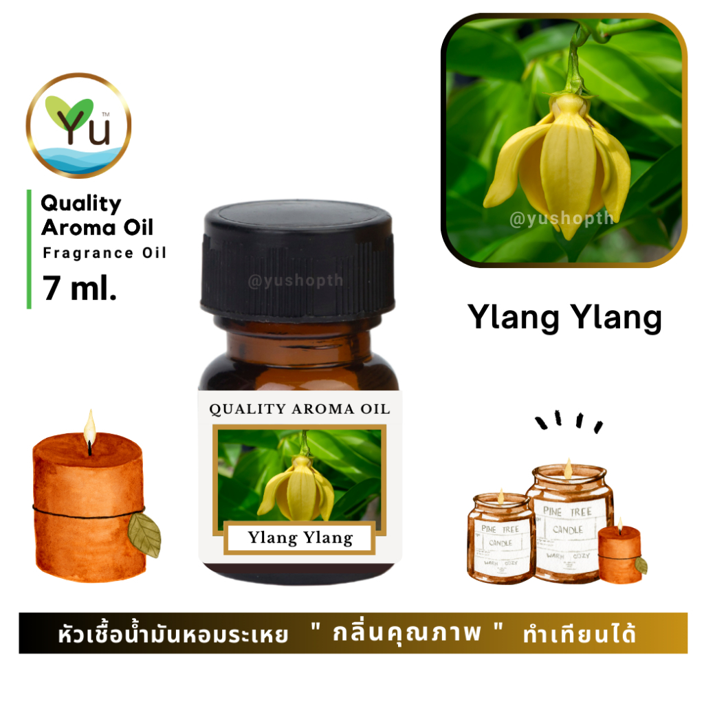 🌟🎁 7 ml. กลิ่น Ylang Ylang (ดอกกระดังงา) 🌟 หัวเชื้อน้ำมันหอมระเหย กลิ่นคุณภาพ ! Quality Aroma Oil 🌟 เลือกกล่องได้ !