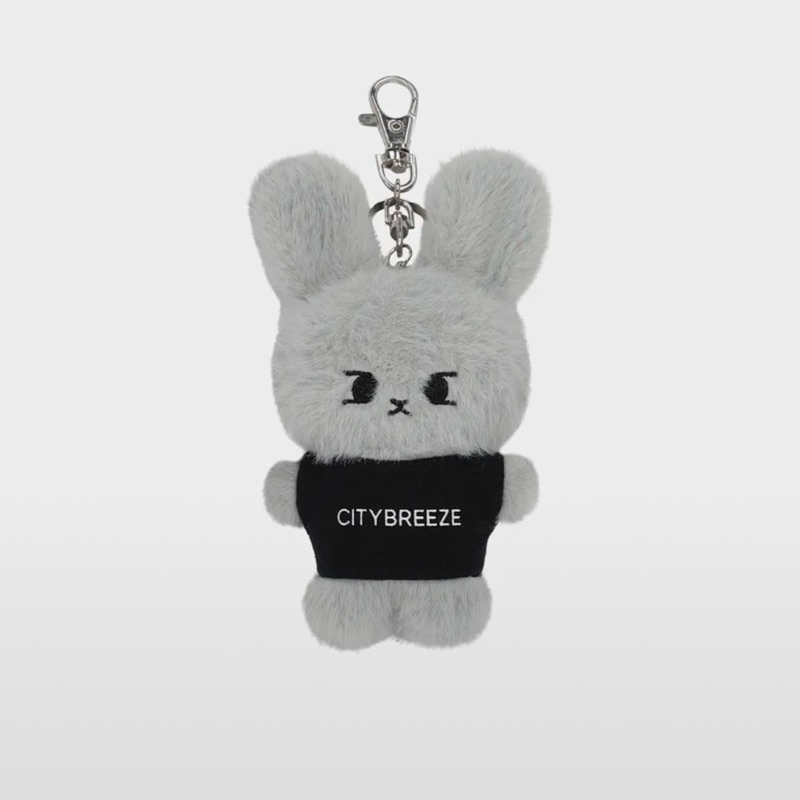 พร้อมส่ง (ส่วนฟรีในวีดีโอ) CITYBREEZE x DOYOUNG