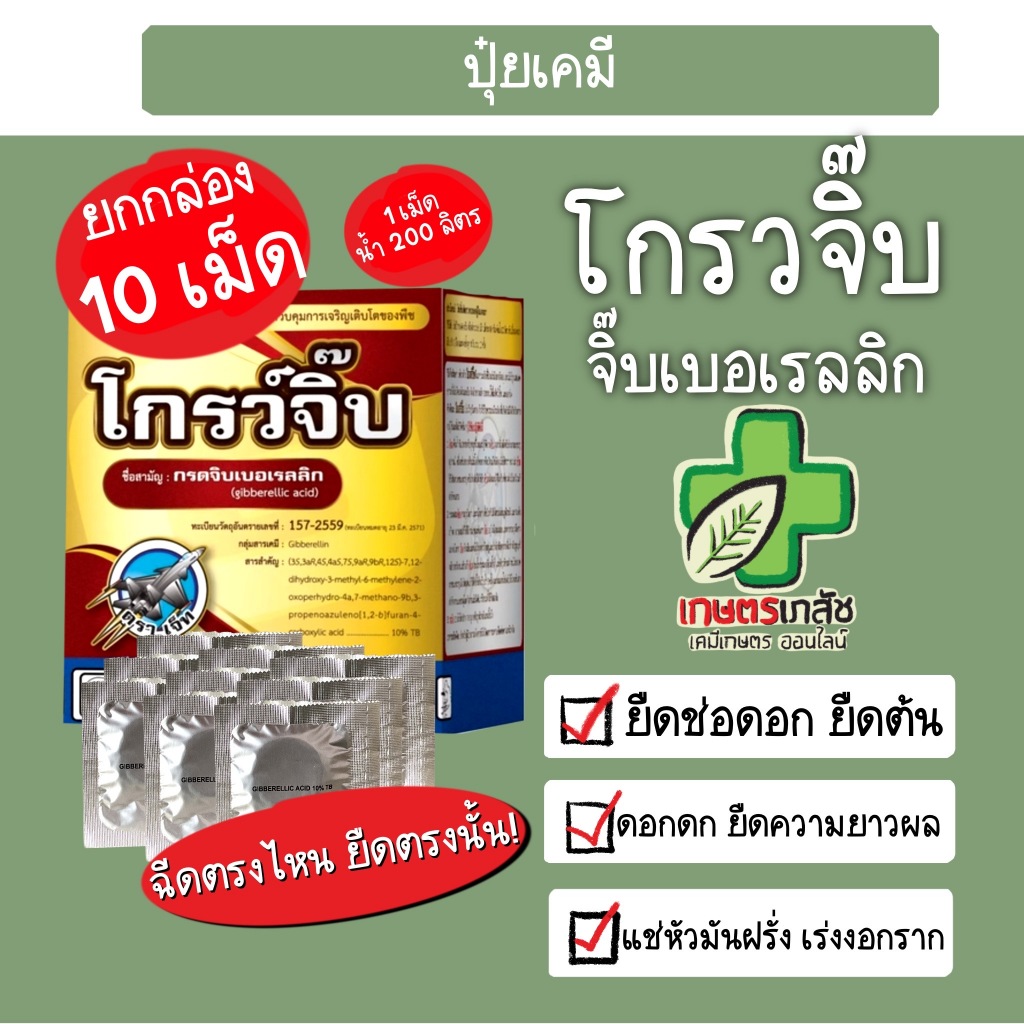 จิ๊บเบอเลริก แอซิด จิ๊บเม็ด ยืดช่อ ดอกผล ใหญ่ ยาว (10 เม็ด)