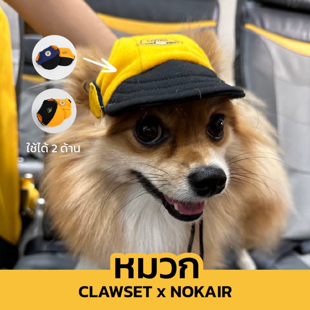 [สินค้าราคาพิเศษ] Clawset x Nok Air รุ่นลิมิเต็ด หมวกกัปตัน หมวกสัตว์เลี้ยง หมา แมว | CLAWSET.BKK