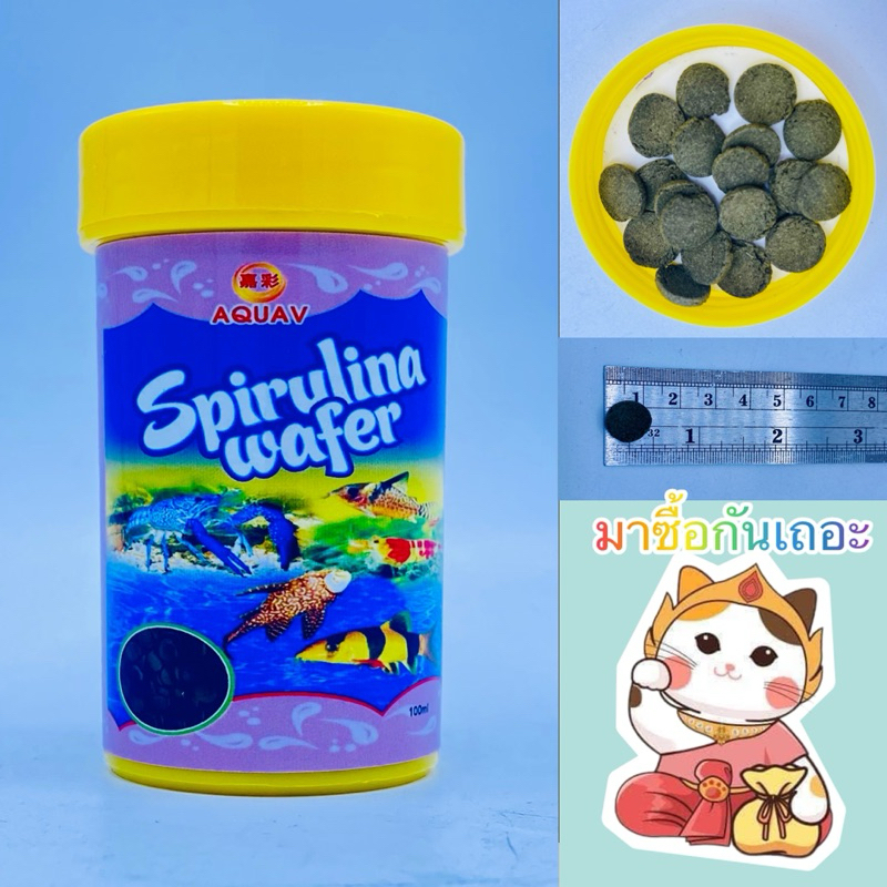 อาหารปลา สไปรูลิน่าเวฟเฟอร์ Spirulina Wafer(55กรัม)