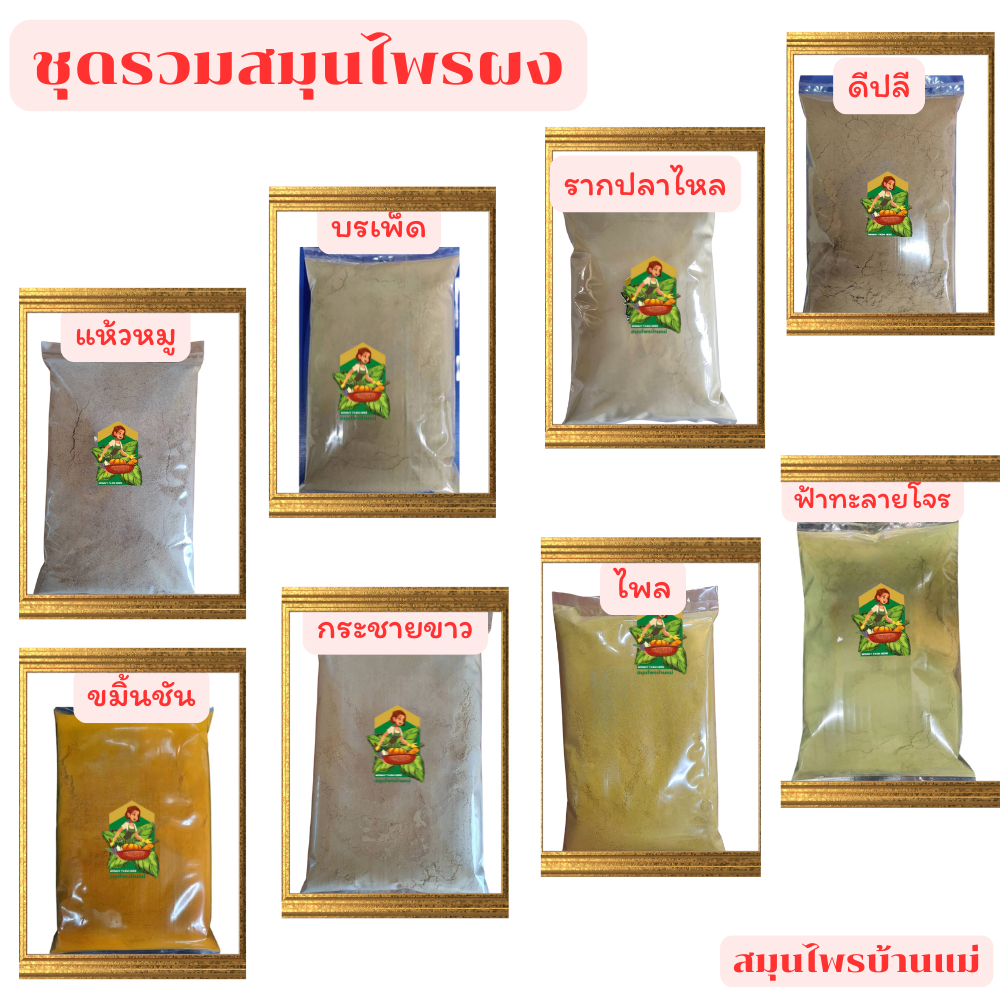 สมุนไพรผง ฟ้าทะลายโจร บรเพ็ด รากปลาไหล แห้วหมู ดีปลี กระชายขาว กระชายดำ ไพล ขมิ้นชัน
