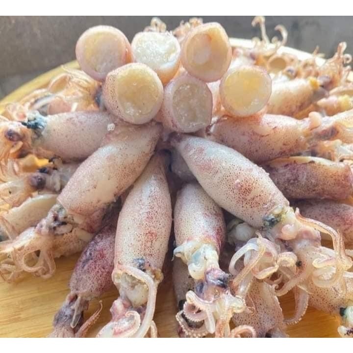หมึกกะตอยไข่ต้ม ไข่แน่นทุกตัว เนื้อหวาน ส่งตรงจากทะเล