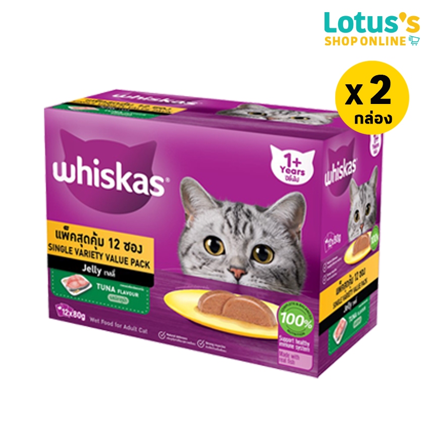 รูปภาพ 7