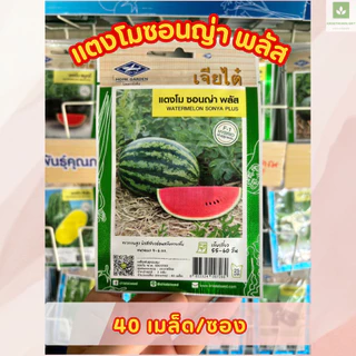 ซองเล็ก มีครบ เมล็ดพันธุ์แตงโม เจียไต๋ ซอนญ่า เมญ่า ทัมอัพ แบล็คบอมบ์ รันรัน แตงโมไร้เมล็ด