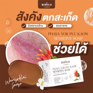 สบู่พญายอ พลูคาว แก้คัน น้ำเหลืองเสีย แก้สิวเม็ดผดผื่นคัน รั…