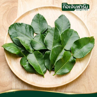 ใบมะกรูดผง ตรา กอเงินฟาร์ม KAFFIR LIME LEAF POWDER Gorngernfarm Brand ใบมะกรูดผง100% เครื่องเทศ ชา
