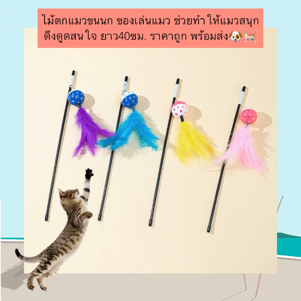 MG-601 ไม้ตกแมวขนนก ของเล่นแมว กระตุ้นสัญชาตญาณนักล่า ยาว 40 ซม. ราคาถูก พร้อมส่ง 🐶🐈