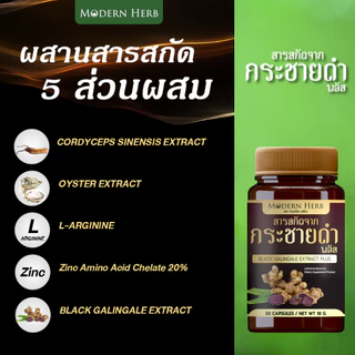 Modern Herb Black Galingale Extract Plus สารสกัดกระชายดำ