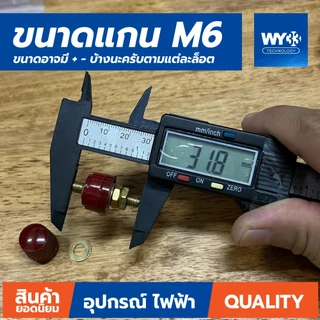 ขายต่อ 1 คู่ ทองแดง 100% ไบดิ้ง โพส ต่อแบตเตอรี่ เกลียว M5 M6 M8 M10 ไบดิ้งโพส ลำโพง binding post