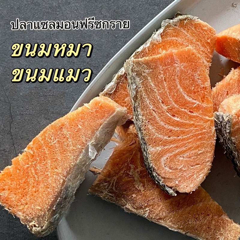 ปลาแซลมอนฟรีซกราย 100g. 【ปลาแซลมอนชิ้น 8-10 ชิ้น】 Freeze dried Salmon เนื้อวัวสด 100% ชิ้นหนา และใหญ่ ขนมหมา ขนมแมว