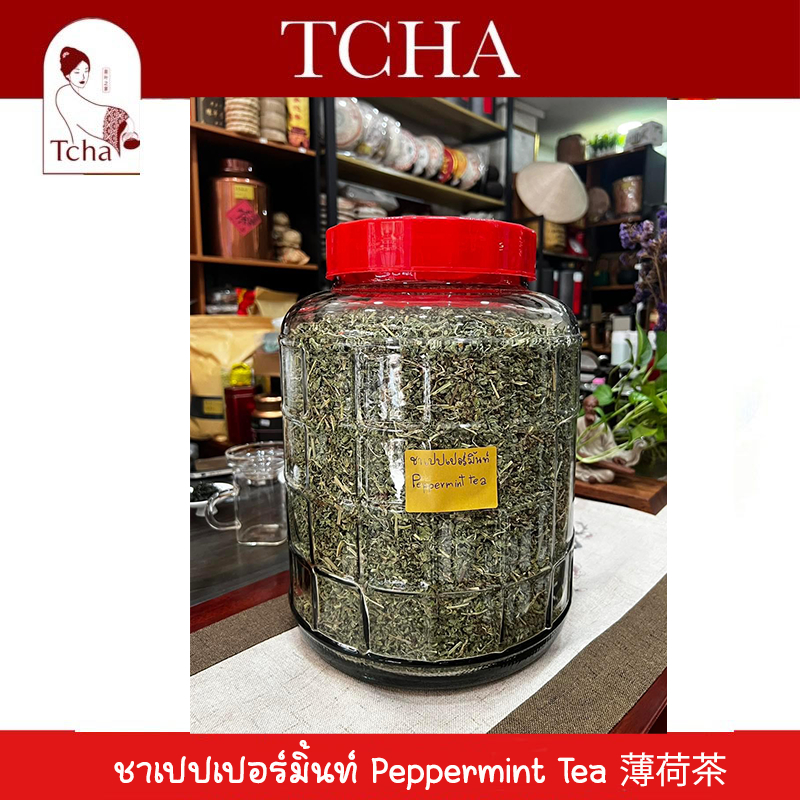 TCHA ชาเปปเปอร์มิ้นท์ 薄荷茶 🌱