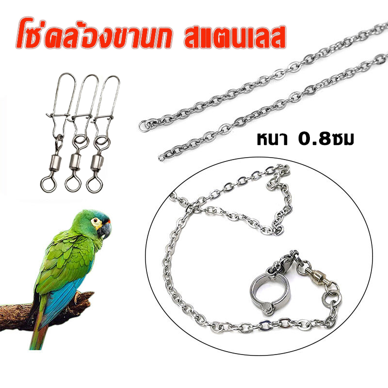โซ่คล้องขานก โซ่นก โซ่ขานก 100ซม. สายจูงนก สแตนเลส ห่วงเปิดนก ห่วงขานก ห่วงนก 4-15มม.