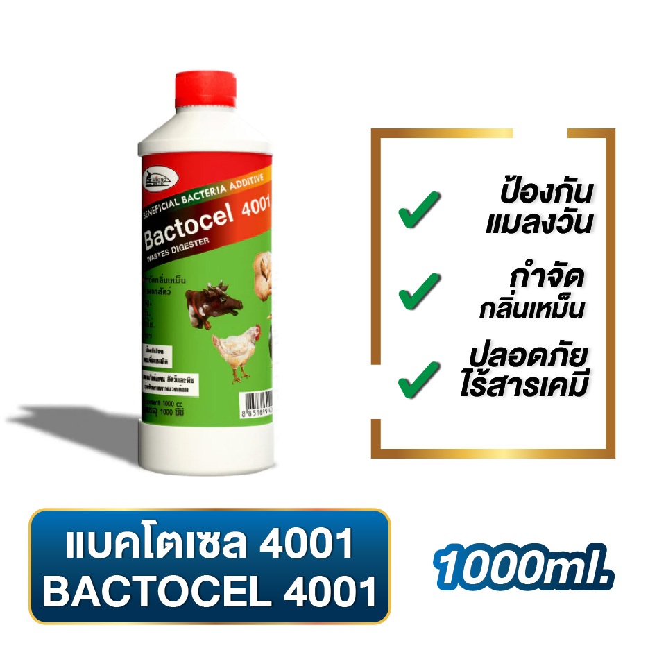 แบคโตเซล 4001 1000cc จุลินทรีย์ คอกสัตว์ ดับกลิ่นเหม็น กำจัดไข่แมลงวัน ป้องกันโรคในปศุสัตว์