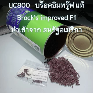 เมล็ดหน่อไม้ฝรั่ง หน่อไม้ฝรั่ง Asparagus U800 F1 ***Emerald Seed Co.ltd USA***
