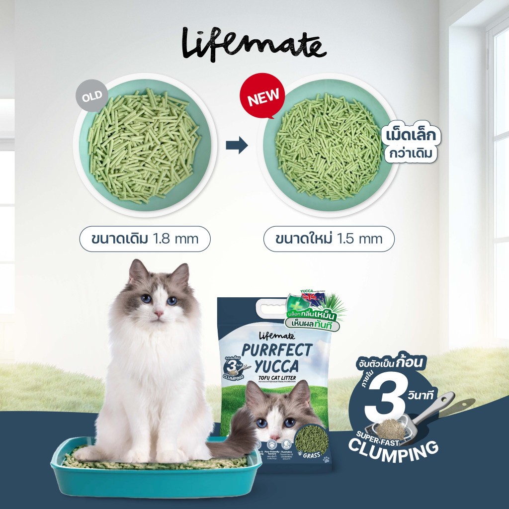 (6L) ทรายแมวเต้าหู้ Lifemate Purrfect Yucca Tofu Cat Litter ไม่ติดอุ้งเท้า ปราศจากฝุ่น จับตัวใน3วิ ราคา ถูกที่สุด ดีลบีเคเค แกลเลอรีภาพที่ 8