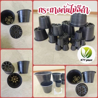 กระถางดำ กระถางต้นไม้ กระถางพลาสติก ขนาด2.5", 3",4",5",6",8",10"