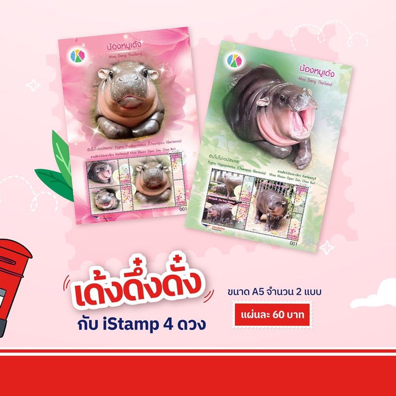 หมูเด้งงงง โปสต์การ์ดและ iStamp คอลเลกชันพิเศษสุดน่ารัก พร้อมส่ง
