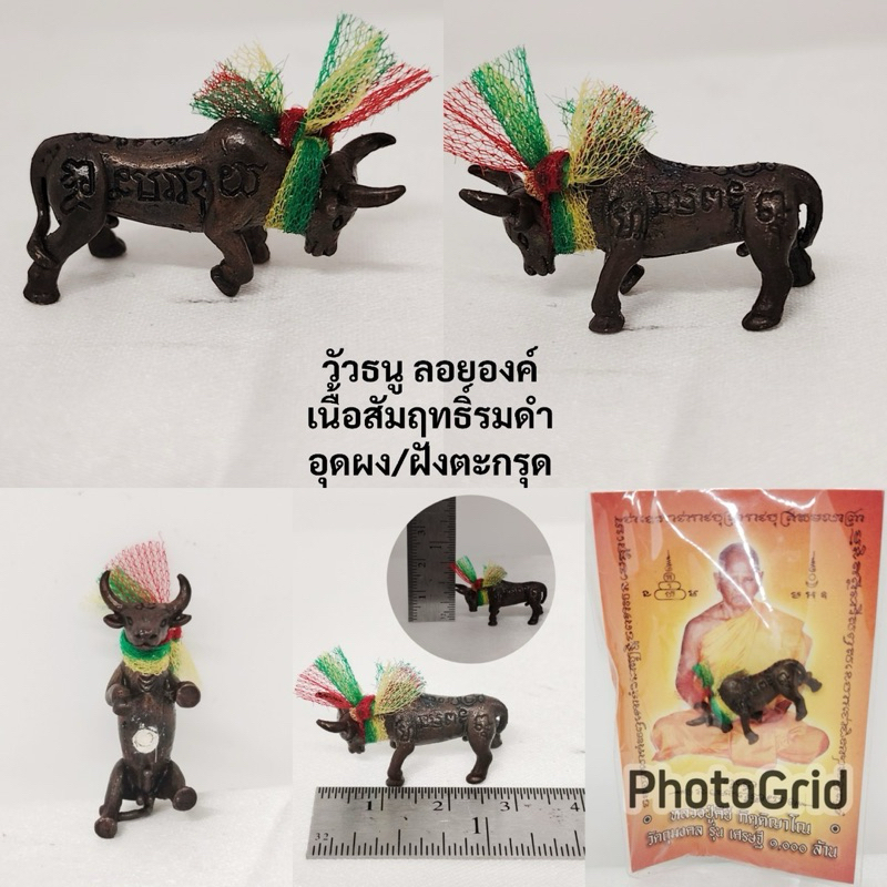 วัวธนูลอยองค์เนื้อรมดำและเนื้อตะกั่วอวน อุดผงฝังตะกรุด หลวงปู่คีย์ วัดศรีลำยอง จ.สุรินทร์