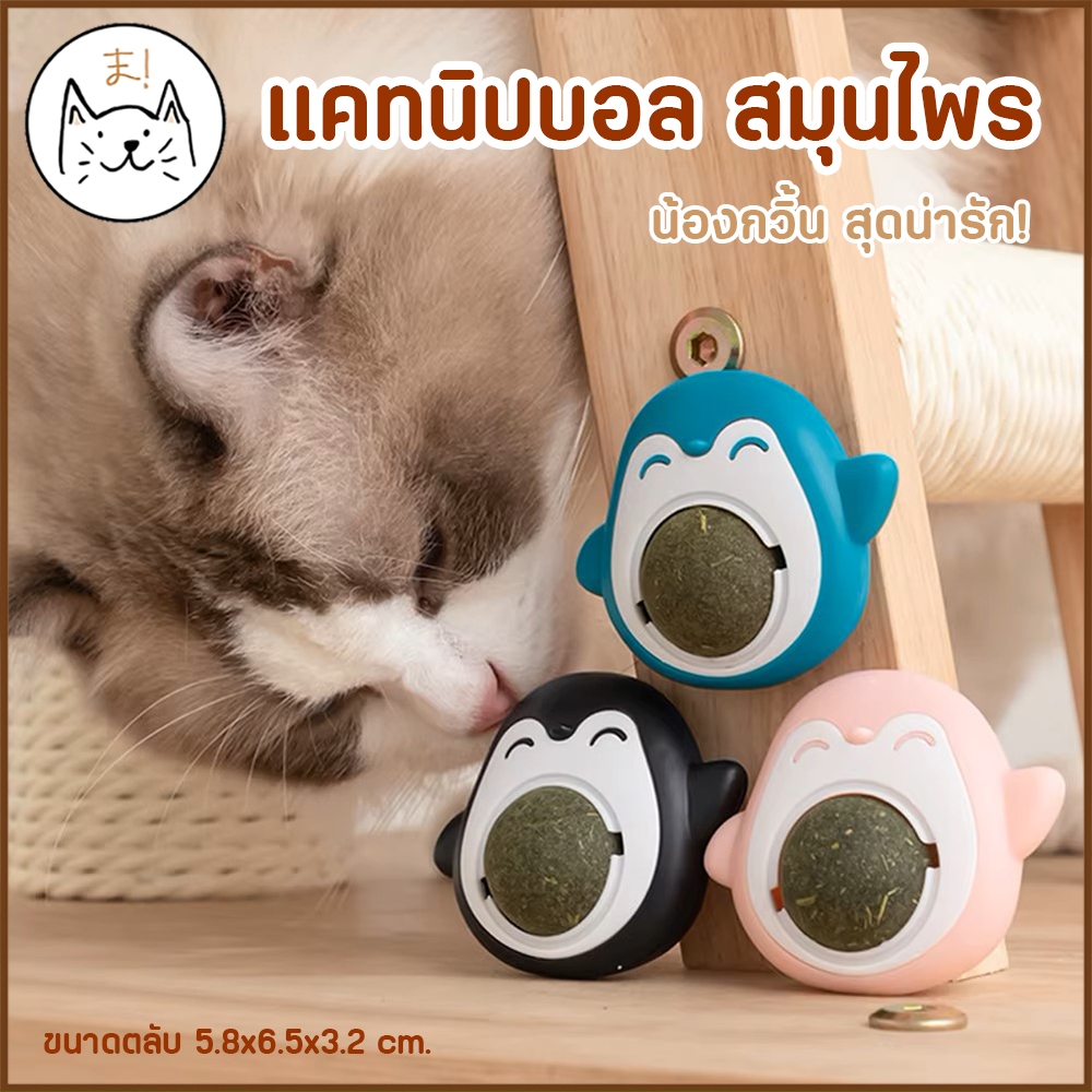 KUMAま แคทนิปบอล น้องกวิ้น กัญชาแมว บอลแมวเลีย catnip ball แคทนิปแมวเลีย สมุนไพรแมวเลีย