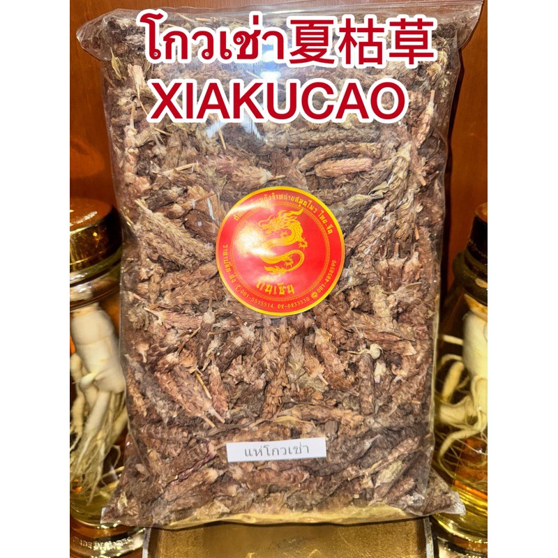โกวเช่า 夏枯草 โกวเฉ่า XIAKUCAO โกวเช่า แห่โกเช่า แห่โกวเฉ่า โกวเฉ้า