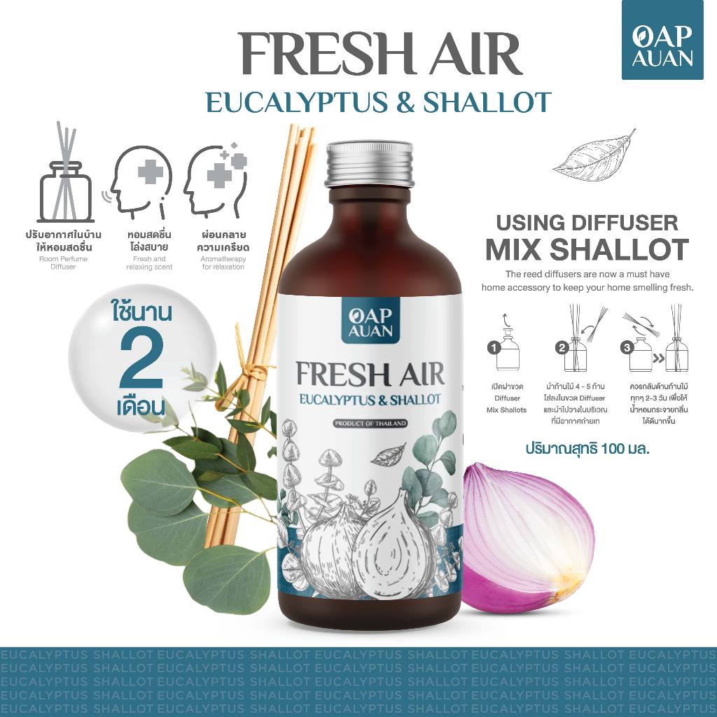 ก้านไม้หอม x หอมแดงสกัด (กลิ่นยูคาลิปตัส) 100 ml 🍃น้ำหอมปรับอากาศ🍃 Reed Diffuser Mix Shallot Extract