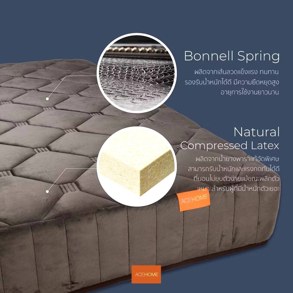 ZEN Collection ซื้อค