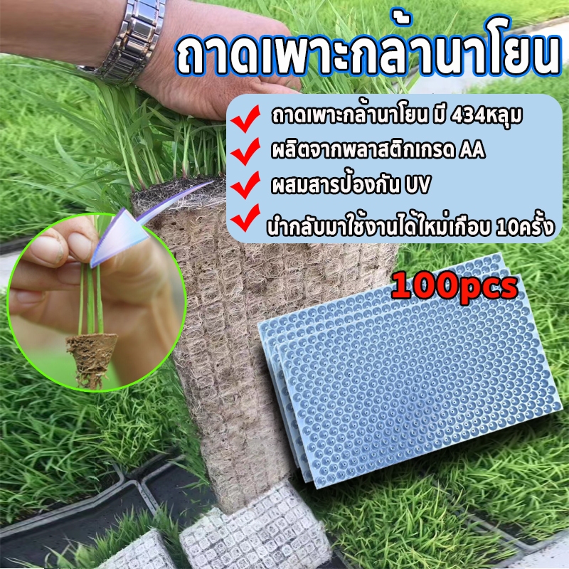 ถาดเพาะกล้านาโยน 434 หลุม50/100 ชิ้น (แบบหนา) มีรูระบาย เหนียว ทนทาน ใช้เพาะเมล็ดข้าว ถาดกล้านาโยน ป้องกันโรครากเน่า