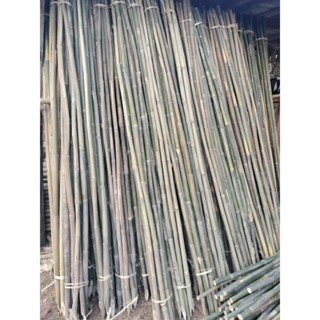 ไม้ไผ่ลำคละขนาด ปลายแหลมยาว 2.50 เมตรจำนวน 10 ท่อน/มัด**กดสั…