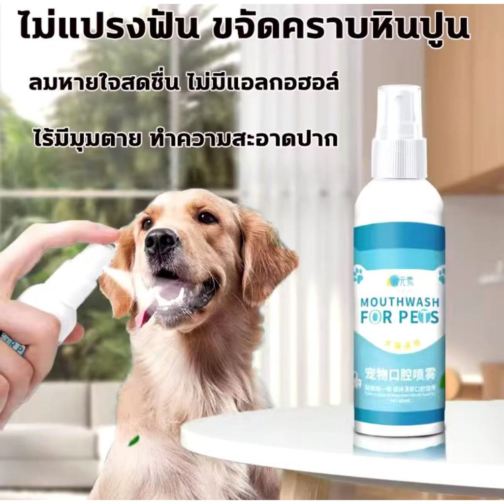 สเปรย์ฆ่าเชื้อแบคทีเรีย 100ml ดับกลิ่นปากหมา น้ำยาดับกลิ่นปากสุนัข สเปรย์ดับกลิ่นปากสุนัข ของใช้แมว cat oral care