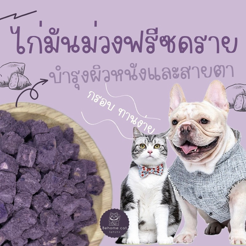 มันม่วงฟรีซดราย ขนมสัตว์เลี้ยงน้องหมาและน้องแมว
