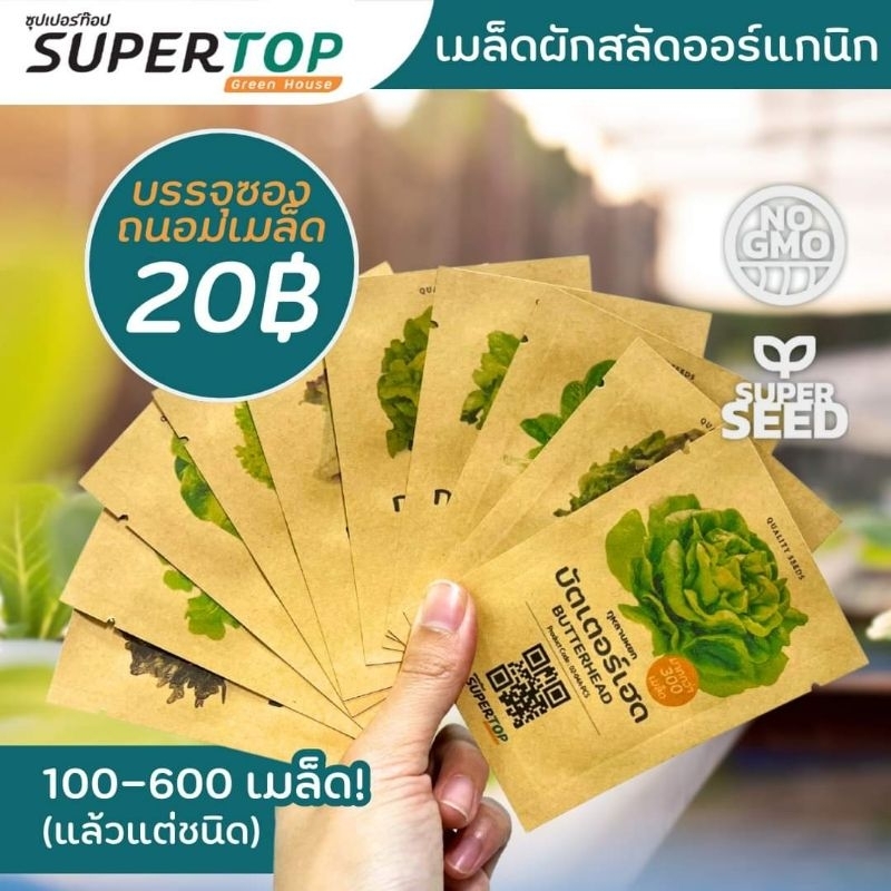 เมล็ดพันธุ์ผักสวนครัว RAILUNGTOP (Vegetable)