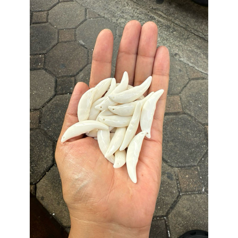 เขี้ยวอาคีริค1ชิ้น35บาท@ยาว4เซนติเมตร@พร้อมส่งในไทย
