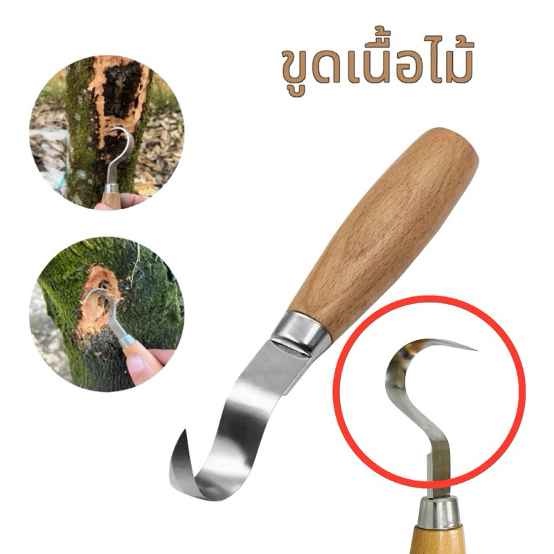 อุปกรณ์ขูดและขูดเปลือกต้นทุเรียนที่มีเชื้อรา