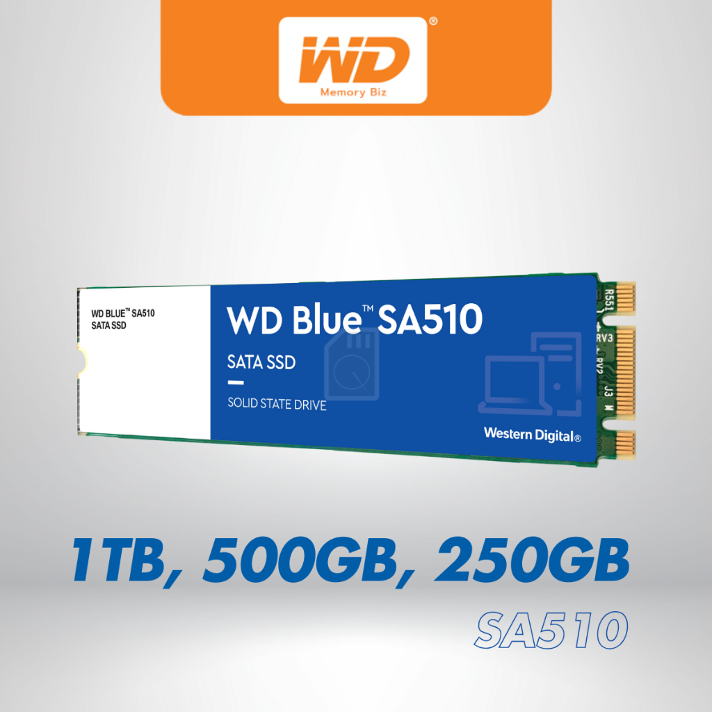 WD Blue SA510 SSD 500GB ,250GB M.2,SATA 3(6GB/S) - WDBLUE WDS250G3B0B WDS500G3B0B เอสเอสดี MemoryBiz