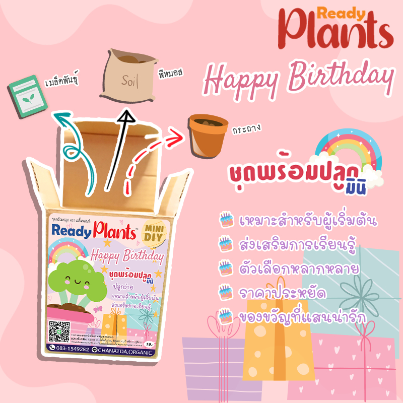 Ready Plants™ MINI {Happy Birthday} ชุดพร้อมปลูกมินิ ผักสวนครัว | ผักสลัด | ดอกไม้