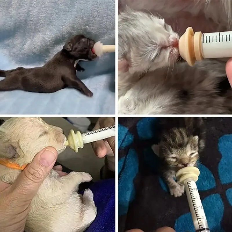 จุกนมแมวแรกเกิด จุกนมแมว จุกป้อนนมกระรอก จุกป้อนนมแมว ซิลิโคนนิ่ม จุกป้อนนมสัตว์เลี้ยง ลูกสุนัข แมว กระต่าย กระรอก - รูปที่ 7