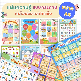 แผ่นความรู้ ขนาด A4 แบบกระดาษ เคลือบพลาสติก แผ่นเรียนรู้ แบบหัดอ่าน
