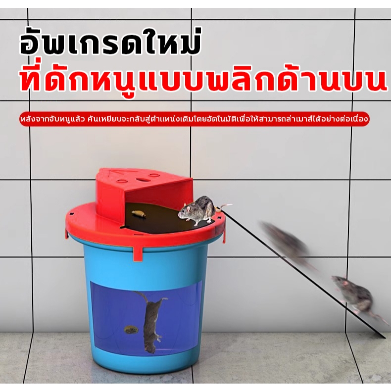 🐭อัพเกรดใหม่🐭 กับดักหนู กาวดักหนู กําจัดหนู อุปกรณ์กำจัดหนูมืออาชีพยี่ห้อเก่ากว่า 30 ปี กกาวนำเข้าจากเยอรมัน